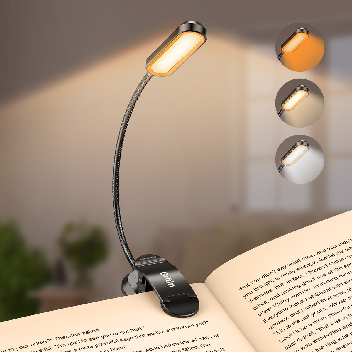 Lampe de lecture rechargeable Gritin 11 LED à clipser sur le livre