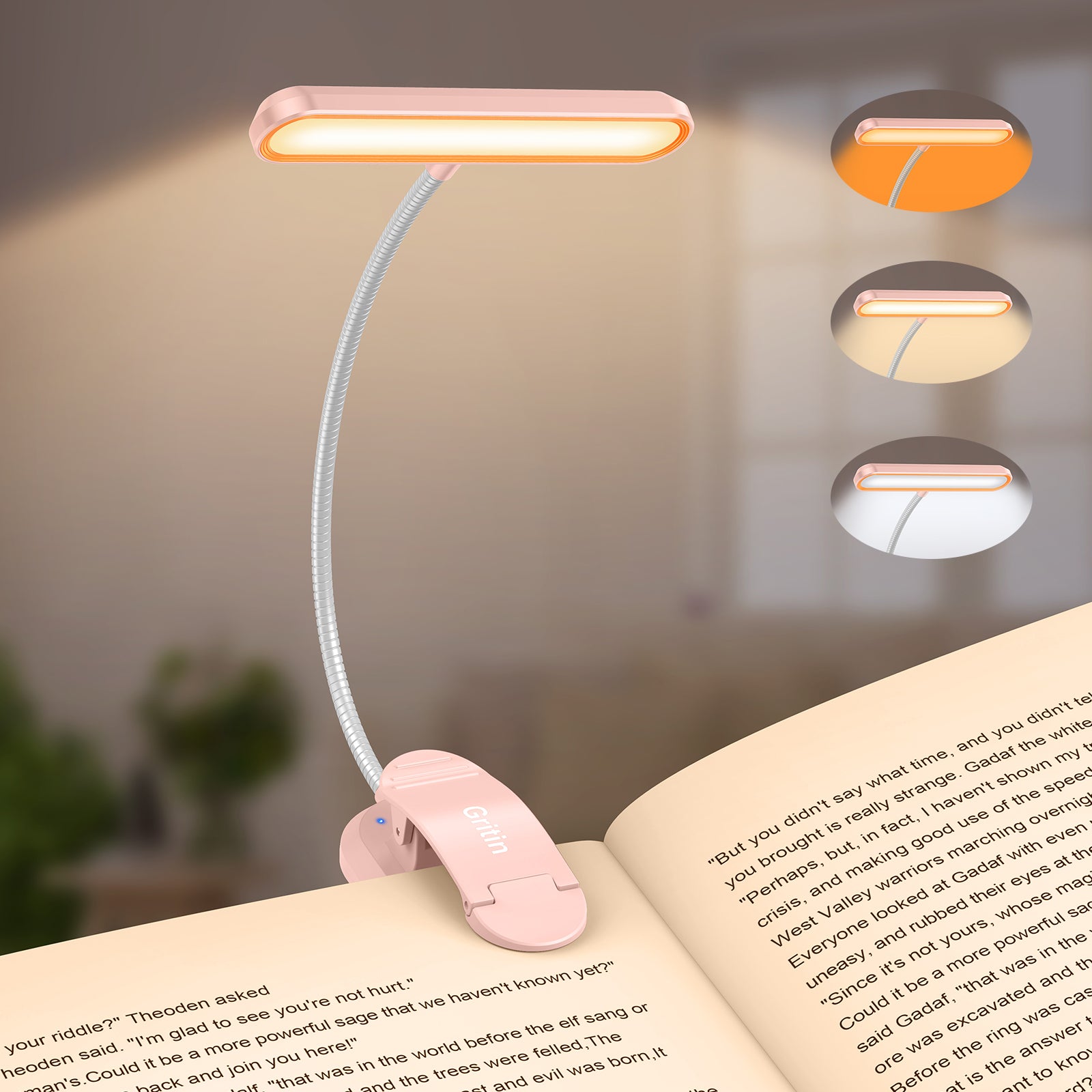 Gritin 19 LED Rechargeable Goose Neck Clip on Book Light