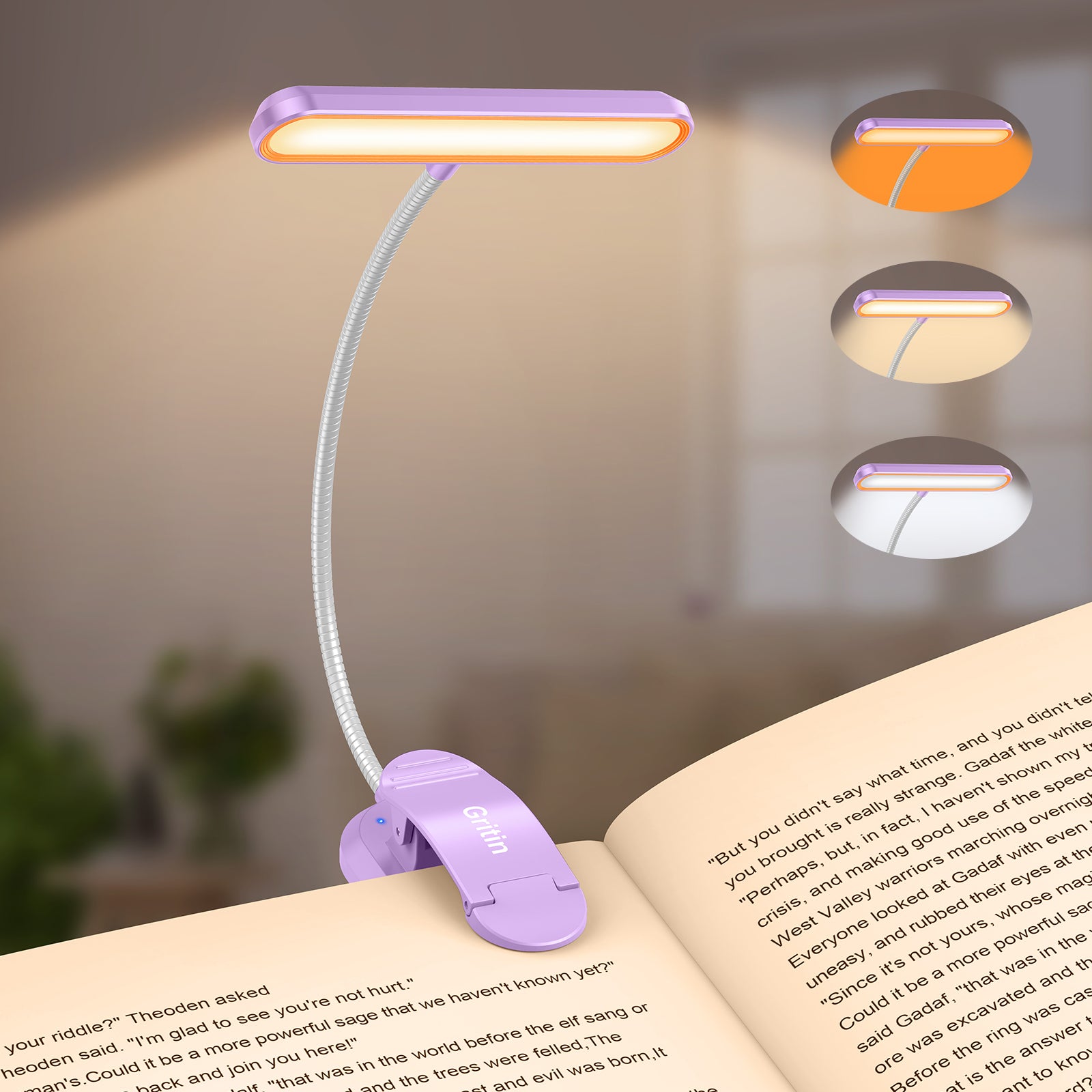 Gritin 19 LED Rechargeable Goose Neck Clip on Book Light