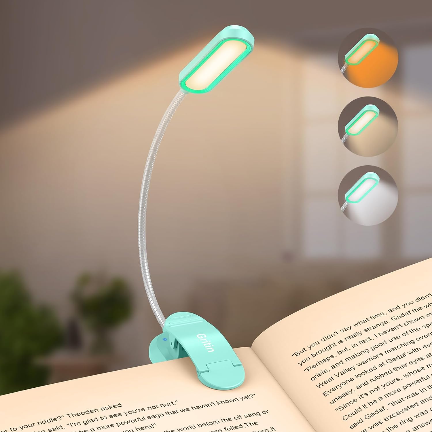 Gritin 11 LED Rechargeable Reading Light Clip on Book